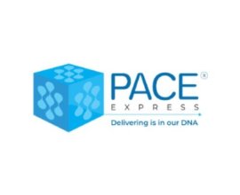 Pace Express Pvt. Ltd.